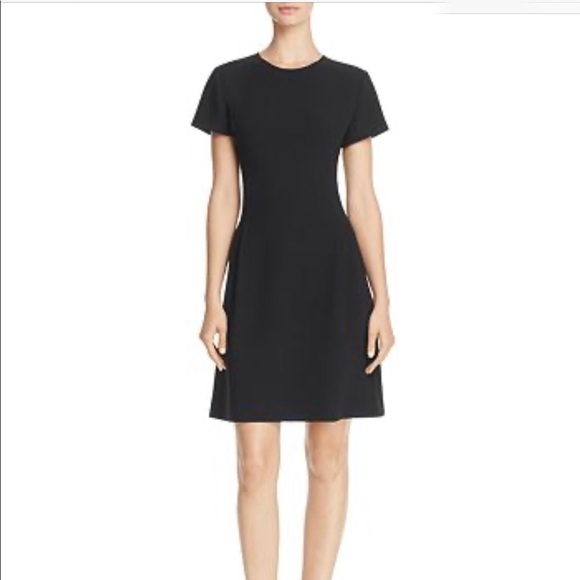 theory corset tee dress